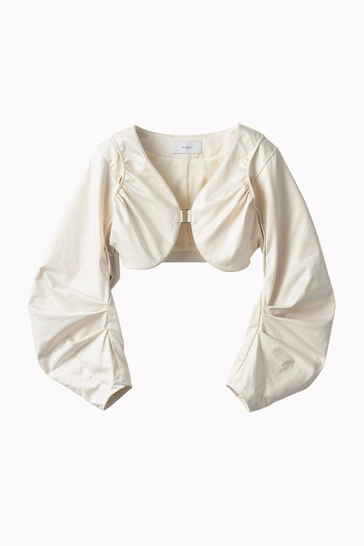 Geum rivale tops (Ivory)