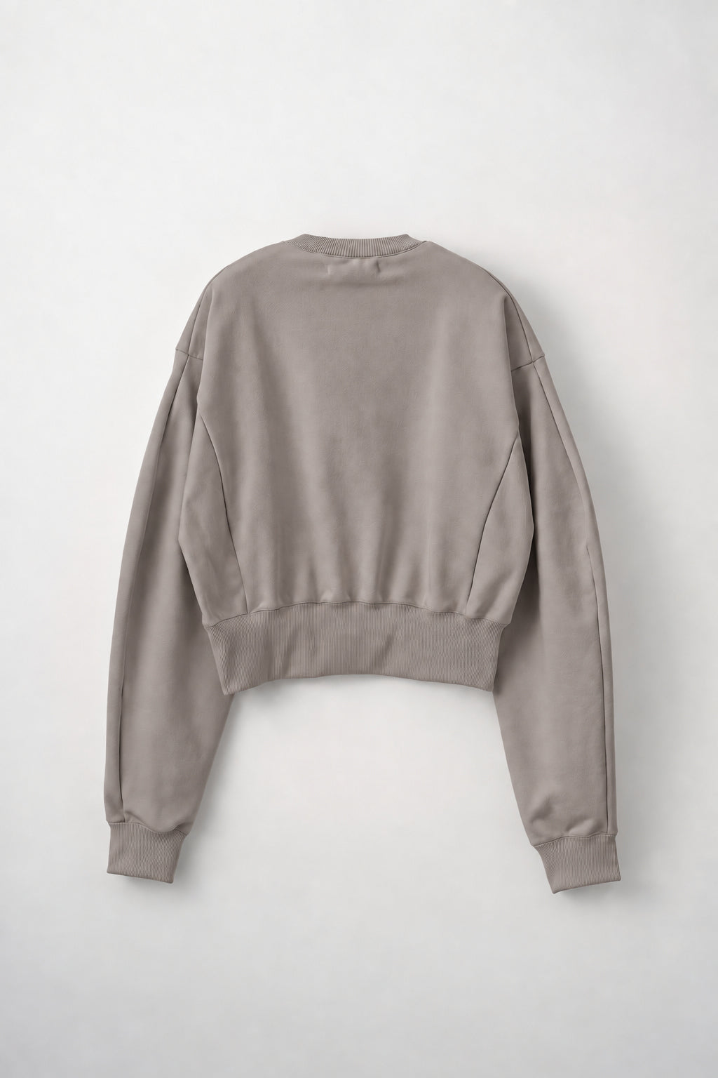 Glint beads embroidered sweatshirt (Greige)
