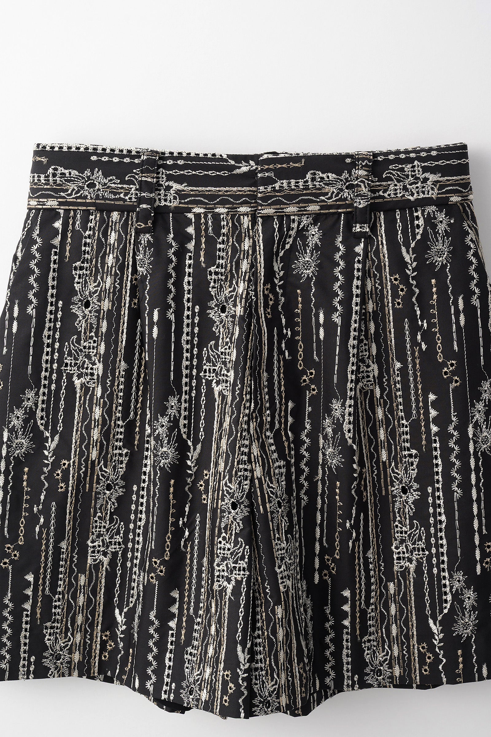 Swaying stripe embroidered shorts (Black)