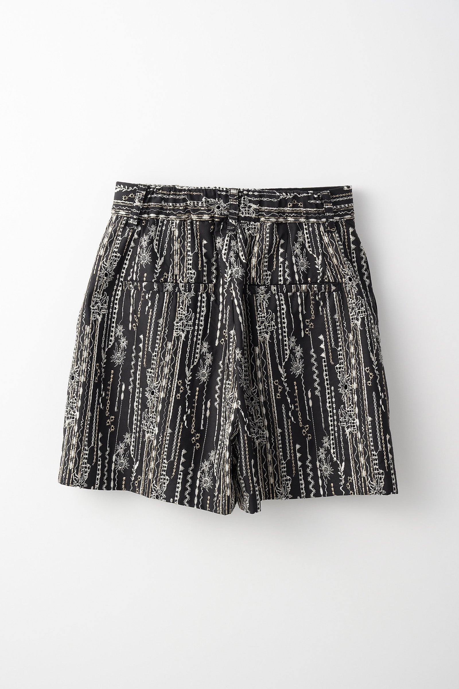 Swaying stripe embroidered shorts (Black)