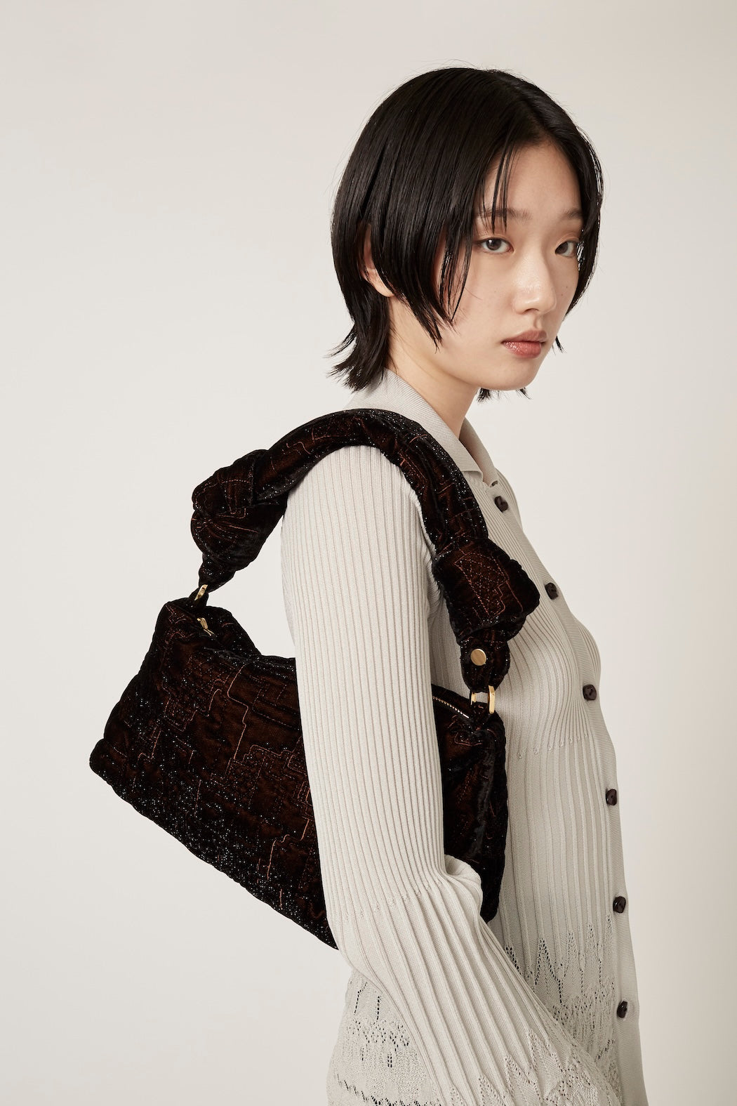 Symbolic embroidery velvet bag (Brown)