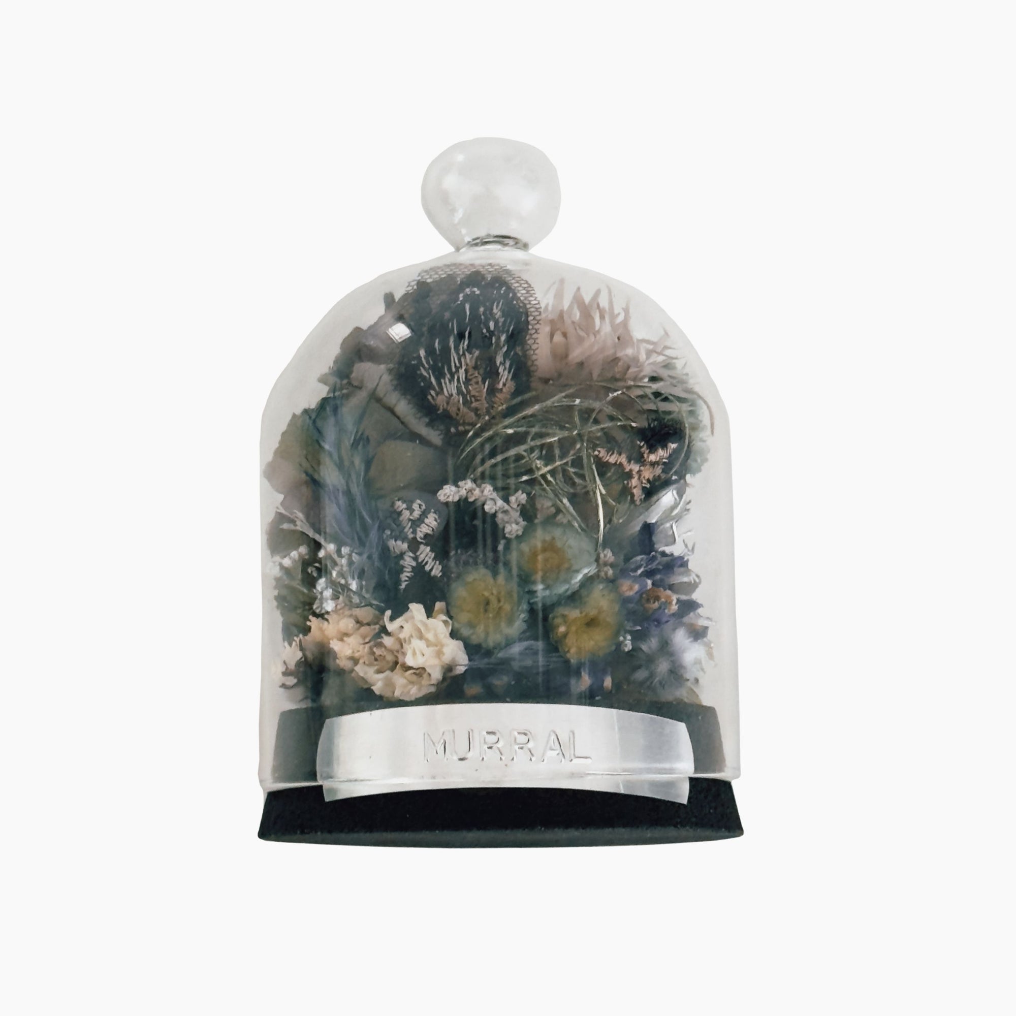 mobile_アイコン-エピフィルム.pdf (1).jpg